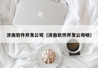 济南软件开发公司（济南软件开发公司明）