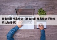 西安软件开发培训（西安软件开发培训学校哪家比较好啊）
