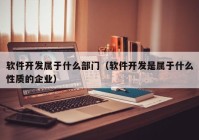 软件开发属于什么部门（软件开发是属于什么性质的企业）