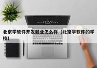 北京学软件开发就业怎么样（北京学软件的学校）