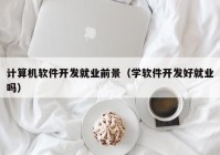 计算机软件开发就业前景（学软件开发好就业吗）