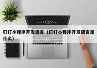 钉钉小程序开发语言（钉钉小程序开发语言是什么）
