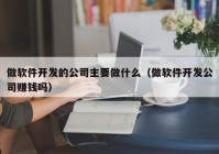 做软件开发的公司主要做什么（做软件开发公司赚钱吗）