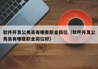 软件开发公务员有哪些职业岗位（软件开发公务员有哪些职业岗位好）