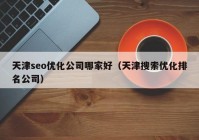 天津seo优化公司哪家好（天津搜索优化排名公司）