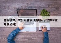 昆明软件开发公司名字（昆明app软件专业开发公司）