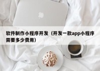 软件制作小程序开发（开发一款app小程序需要多少费用）