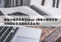 微信小程序开发文档api（微信小程序开发文档在论文文献格式怎么写）