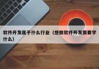软件开发属于什么行业（想做软件开发需要学什么）