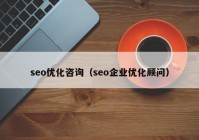 seo优化咨询（seo企业优化顾问）