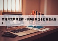 软件开发前景怎样（软件开发这个行业怎么样）