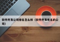 软件开发公司排名怎么样（软件开发有名的公司）