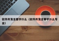 软件开发主要学什么（软件开发主要学什么专业）