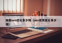 湖南seo优化多少钱（seo首页优化多少钱）