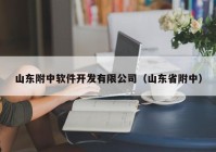 山东附中软件开发有限公司（山东省附中）