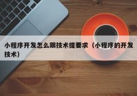 小程序开发怎么跟技术提要求（小程序的开发技术）