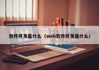 软件开发是什么（web软件开发是什么）