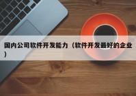 国内公司软件开发能力（软件开发最好的企业）