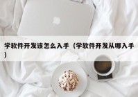 学软件开发该怎么入手（学软件开发从哪入手）