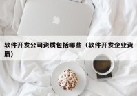 软件开发公司资质包括哪些（软件开发企业资质）