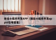 微信小程序开发APP（微信小程序开发appid在哪里看）