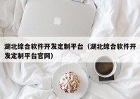 湖北综合软件开发定制平台（湖北综合软件开发定制平台官网）