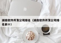湖南软件开发公司排名（湖南软件开发公司排名前十）