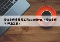 微信小程序开发工具app叫什么（微信小程序 开发工具）