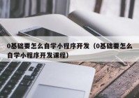 0基础要怎么自学小程序开发（0基础要怎么自学小程序开发课程）