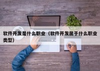 软件开发是什么职业（软件开发属于什么职业类型）