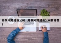 开发网站建设公司（开发网站建设公司有哪些）