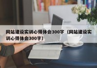 网站建设实训心得体会300字（网站建设实训心得体会300字）