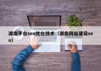 湖南平台seo优化技术（湖南网站建设seo）