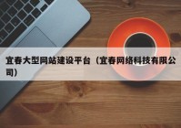 宜春大型网站建设平台（宜春网络科技有限公司）