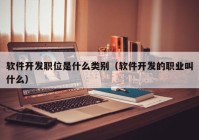 软件开发职位是什么类别（软件开发的职业叫什么）